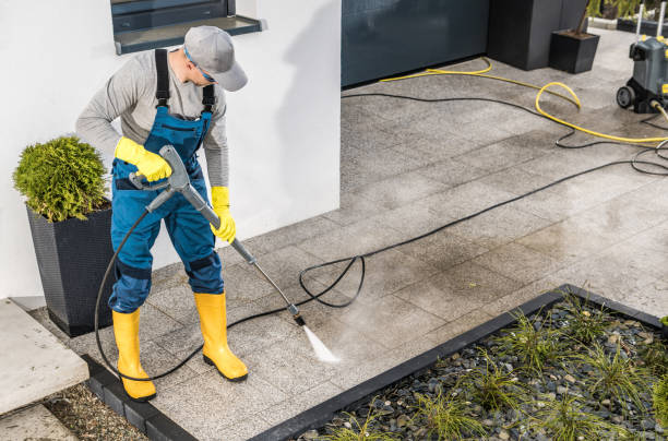 Best Deck Cleaning Services  in O, MI
